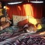 2010 VW Campervan conversion Image 2