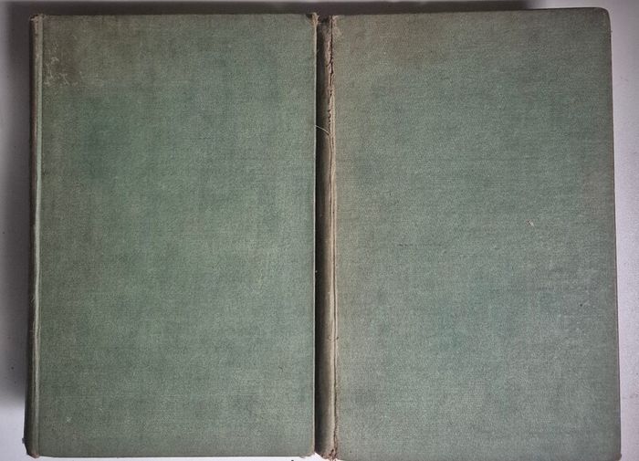 P.W. Joyce's A Social History of Ancient Ireland, 1920