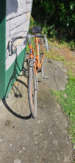 Free Bicycle