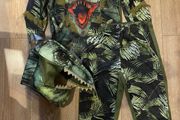 Dino costume