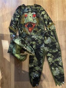 Dino costume