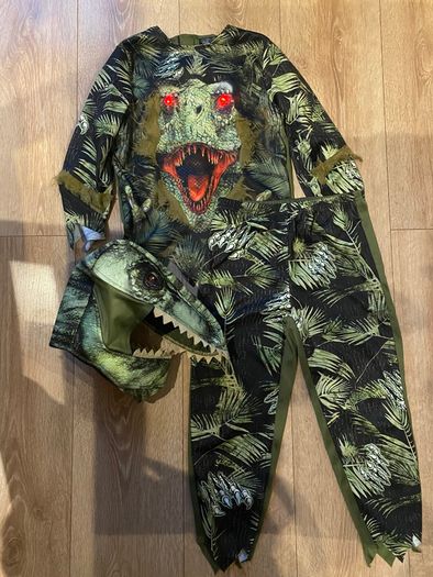Dino costume