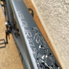 carrera bike mens