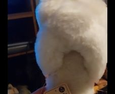 Totes sheepskin slippers