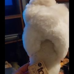 Totes sheepskin slippers