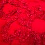 Designer Red Top Gigot Sleeves Image 3