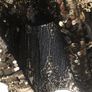 BNWT Savida black gold sequin blouse size small Image 9