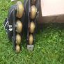 roller skates Image 2