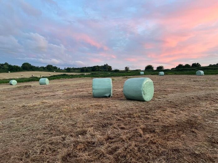 42 Bales of Haylage, Not chopped, good for horses