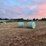 42 Bales of Haylage, Not chopped, good for horses Image 7