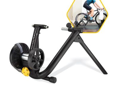 Saris M2 bike trainer