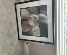 Flower Painting
