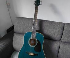 Acoustic SX Guitar