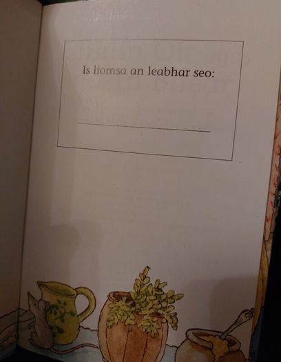 Irish book (Pr 204 )