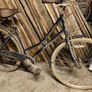 ladybike Image 8