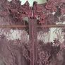 Petite Dress Image 7