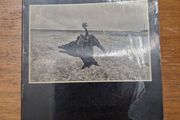 josef koudelka photo file