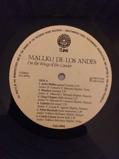 Mallku De Los Andes.