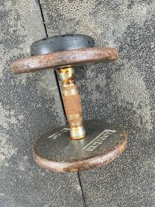 Jordan Dumbbell pair 10kg