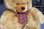 Large brown teddy