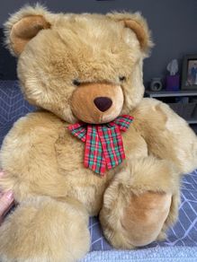 Large brown teddy