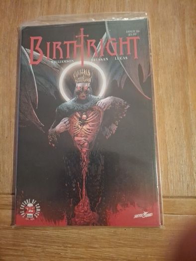 Birthright Image Comics  5 graphic novels and 10 comics Josh Williamson