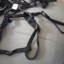 Dog bundle Image 3