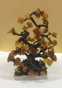 Baltic Amber  Tree