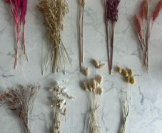 Decorative Dried flowers for events.