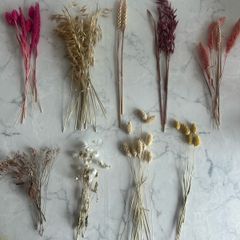 Decorative Dried flowers for events.