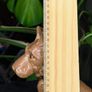 Sylvac Vintage Ceramic Terrier Dog Figurine Brown Glossy Collectible Decor Image 6