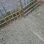 trellis Image 4