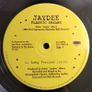 Jaydee - Plastic Dreams - Epic Records - US Pressing - DUTCH Tribal HOUSE Anthem! Image 4
