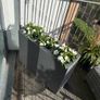 planter Image 2