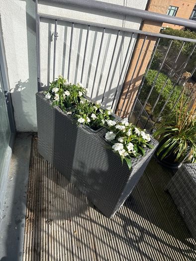 planter