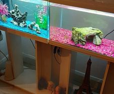 Two Fish Tanks / Stands