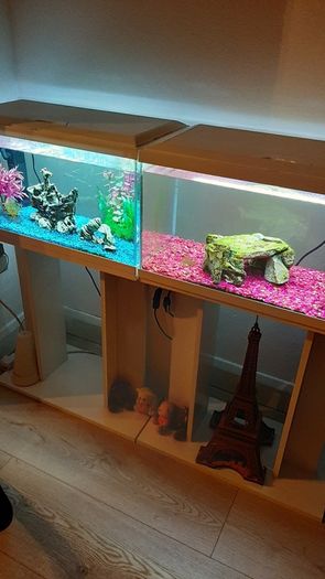 Two Fish Tanks / Stands