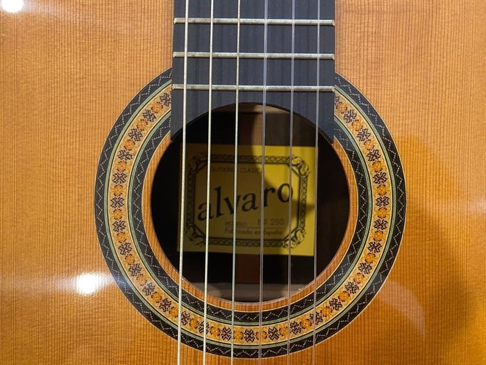 Alvaro Guitar 300