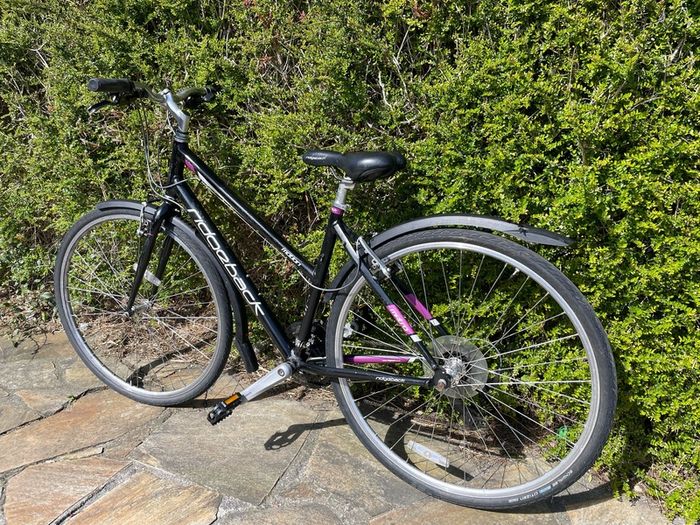 Ridgeback ladies bike