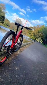 Trek kids rod bike