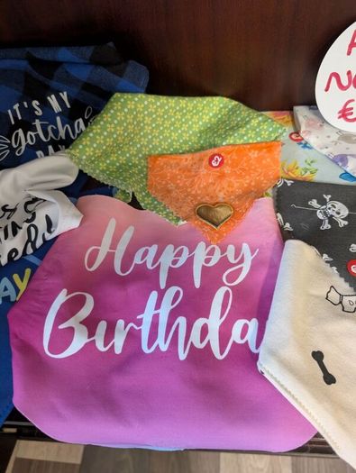 dog bandanas. New, all reduced to 2