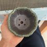 bonsai pot Image 2