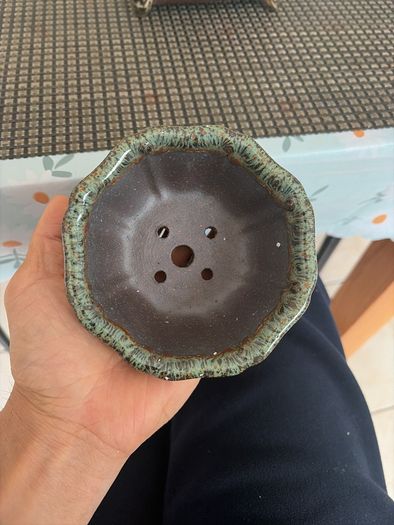 bonsai pot