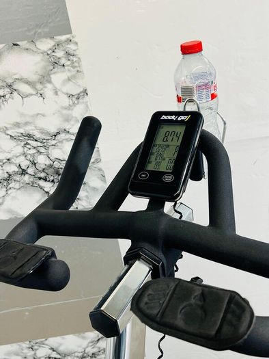 Large 20kg Wheel Bodymax Exercise Bike Life Time