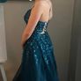 Danis Closet Debs Dress Image 3