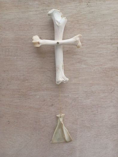 Jaw/Bone wall hanging