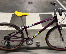 Raleigh Nottingham England 26 INCH WHEEL
