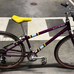 Raleigh Nottingham England 26 INCH WHEEL