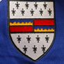 Vintage Style Tipperary GAA Hurling Jersey (Youths 11-12 Years) FREE POST Image 4