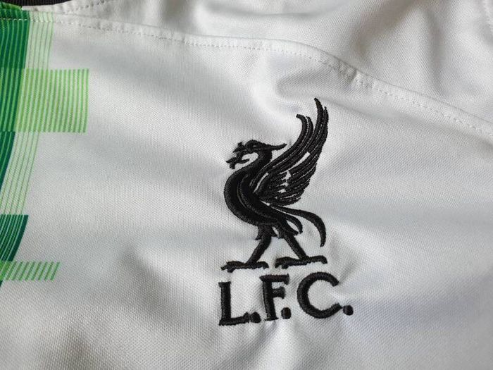 Liverpool Football Club Away Jersey 2023 to 2024 Large Adult Nike